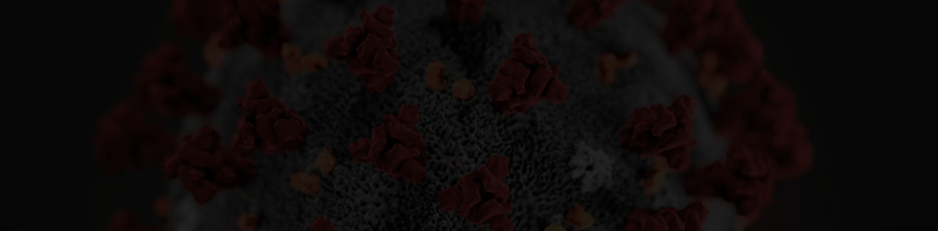 Coronavirus update